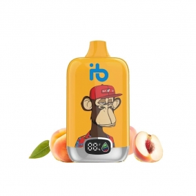 Jednorázová E-cigareta 12 000 Puffs - Broskev & Ovocná Šťáva